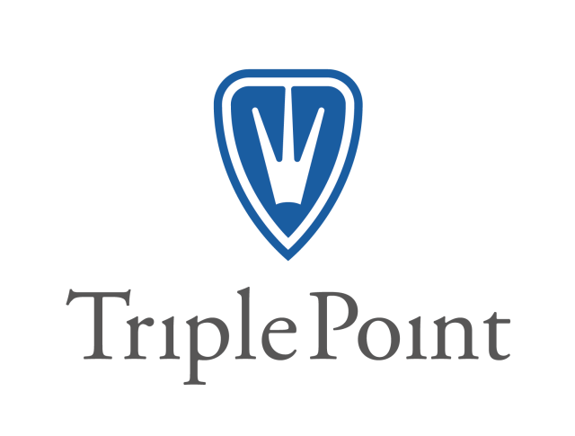 Triple point